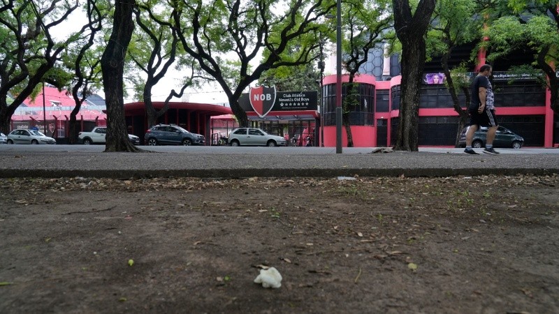 alan monzon rosario3