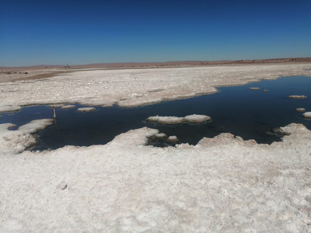 Salar-de-Llamara-1