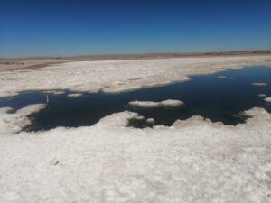 Salar-de-Llamara-1